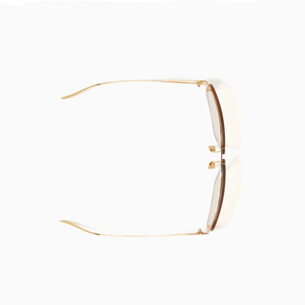 ShineShield  🇮🇹.